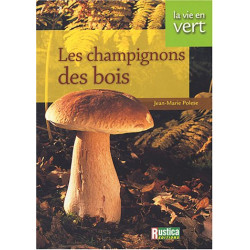Vie en vert : Champignons des bois