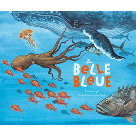 La belle bleue : Océanologie