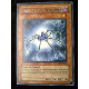 Insecte des Ténèbres ABPF-FR010 Yu-Gi-Oh