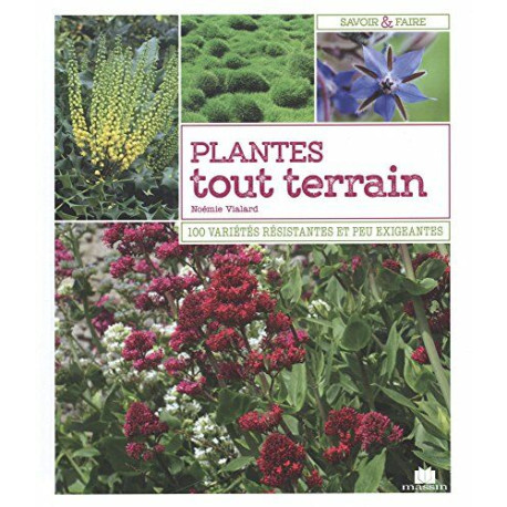 Plantes tout terrain