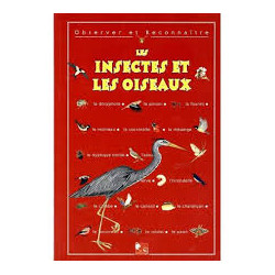 Observer et renconnaître les insectes et les oiseaux