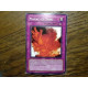 Marais de Sang LODT-FR077 Yu-Gi-Oh