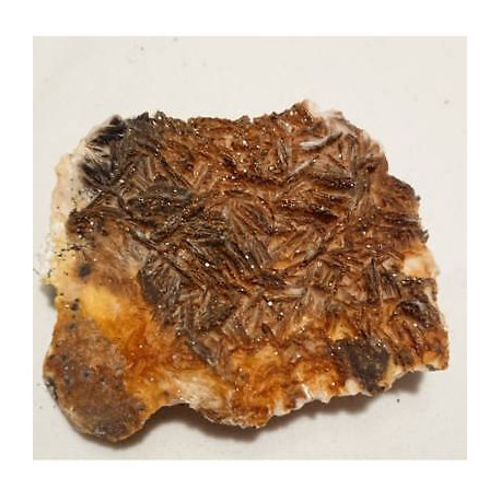 Vanadinite sur Barytine mibladen Maroc BN2 337g 101mm8