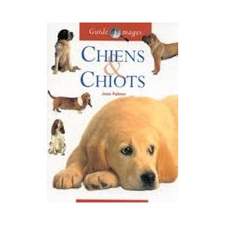 Chiens et chiots