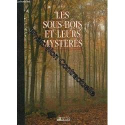 LES SOUS BOIS ET LEURS MYSTERE