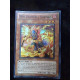 Neo Flamvell Shaman HA04-EN033 Yu-Gi-Oh