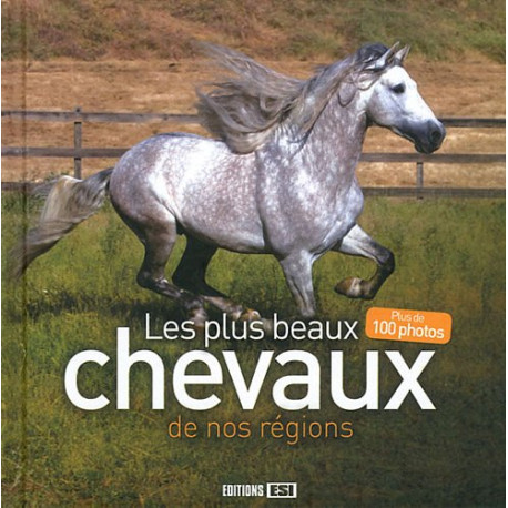 Les plus beaux chevaux de nos régions