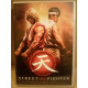 Street fighter Assassin's fist DVD