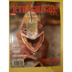 Terre Sauvage Nº13 Camaleon Le Magicien de La Lumière 1987