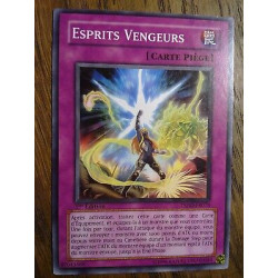 Esprits Vengeurs TSHD-FR073 Yu-Gi-Oh