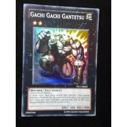 Gachi Gachi Gantetsu YS11-FR042 Yu-Gi-Oh