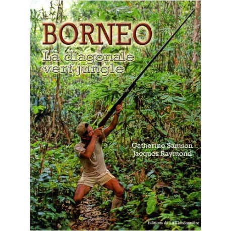 Bornéo : La diagonale vert jungle