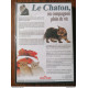 DVD Le Chaton Un Compagnon Plein De Vie Royal Canin