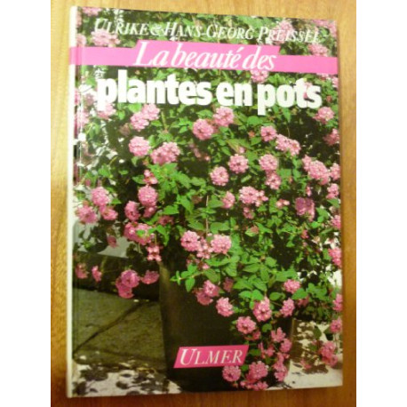 Plantes en pots