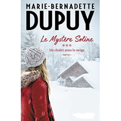 Un Chalet sous la neige (Le Mystère Soline Tome 3)