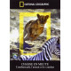 National geographic : chasse en meute - l'embuscade l'assaut et le...