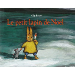 Le Petit Lapin de Noël