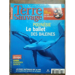 Terre Sauvage n185 Juillet 2003 polynésie Le ballet des baleines