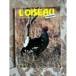 L'oiseau magazine n°31