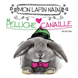 Mon lapin nain peluche ou canaille