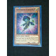 Dimension Wanderer ZTIN-EN010 Yu-Gi-Oh