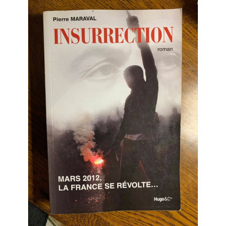 insurrection Mars 2012 la France se révolte hugocie 2012