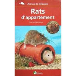 Rats d'appartement