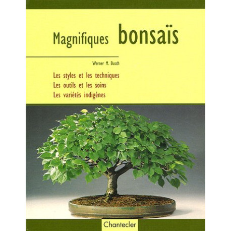 Magnifiques bonsaïs