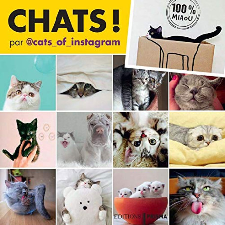 Chats d'Instagram