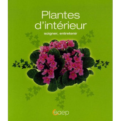 Plantes d'intérieur soigner entretenir