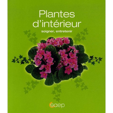 Plantes d'intérieur soigner entretenir