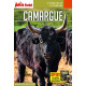 Guide Camargue 2020 Carnet Petit Futé