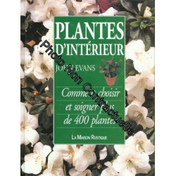 Plantes D'interieur - Comment Choisir Et Soigner