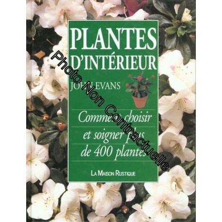 Plantes D'interieur - Comment Choisir Et Soigner