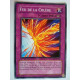 Feu de la Colère RGBT-FR064 Yu-Gi-Oh