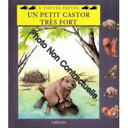 Un Petit Castor Tres Fort