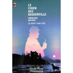 Le chien des Baskerville