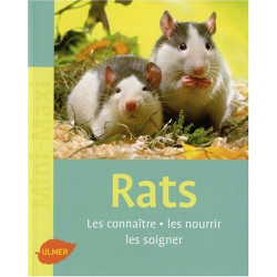 Rats : Les connaître les nourrir les soigner