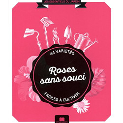 Roses sans souci