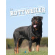 Le rottweiler (0)