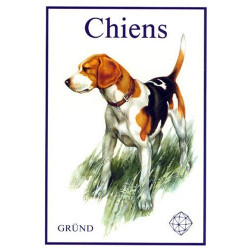 Chiens