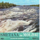 The Moldau