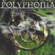 Polyphonia [Import USA]