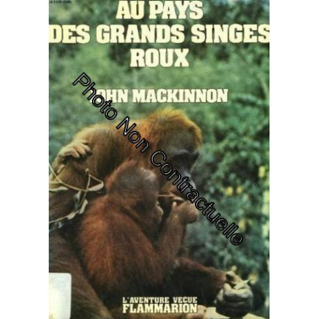 Au pays des grands singes roux