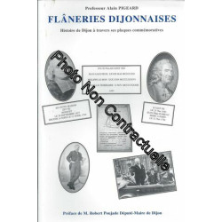 Flâneries Dijonnaises : Histoire De Dijon À Travers Ses Plaques...