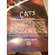 Jellicle Cats Come out Tonight First Performance New London theatre