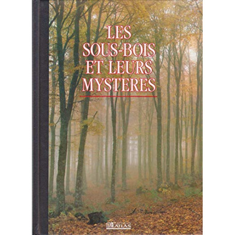 Les sous-bois et leurs mystères