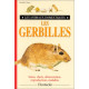 LES GERBILLES by Viner Bradley