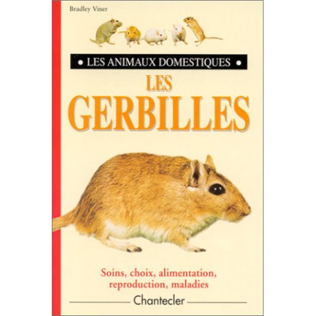 LES GERBILLES by Viner Bradley