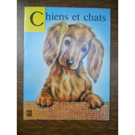 Chiens et chats illustrations de martinez